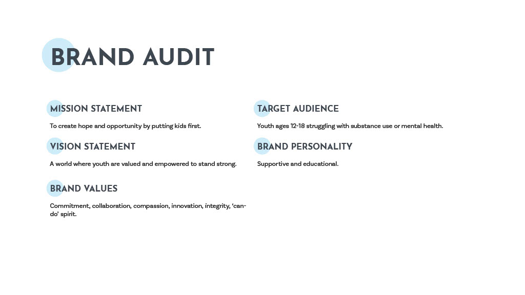 Brand audit of Youth Shelter and Services organization